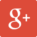 Follow MSC on Google